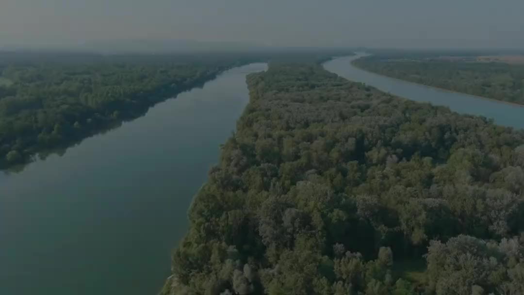 Das elsässische Ried — Feuchtgebiet bedroht durch das Projekt Europa Vallée zwischen Diebolsheim und Sundhouse