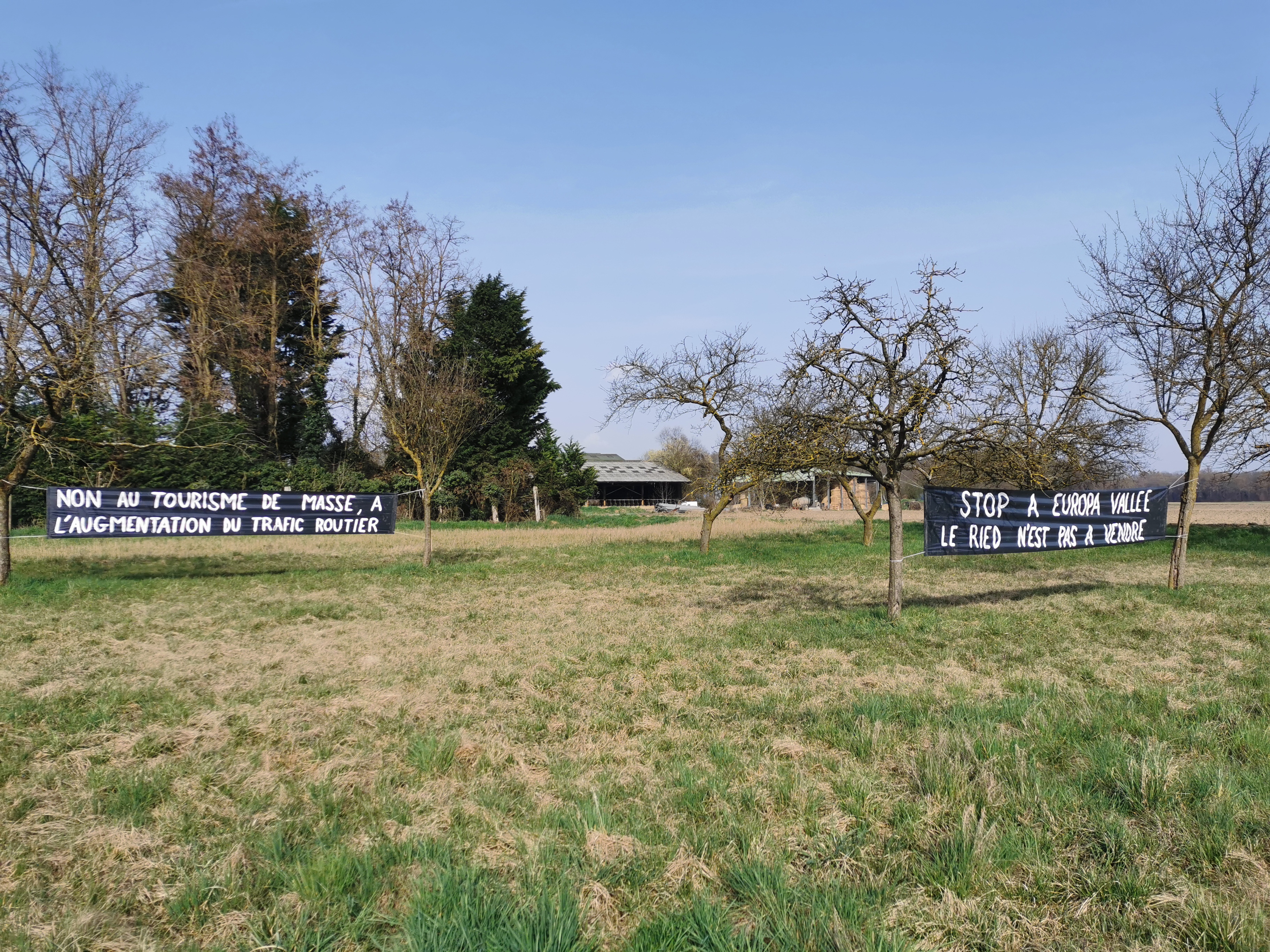 Vue d'ensemble de deux banderoles dans un verger à Wittisheim : « Non au tourisme de masse, à l'augmentation du trafic routier » et « Stop à Europa Vallée — Le Ried n'est pas à vendre »